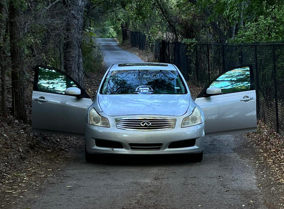 Neo-silver tint from Omnique Tints